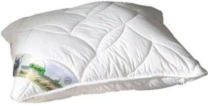 Texeler Hoofdkussen Soezzz Perfection 70 X 60 Cm