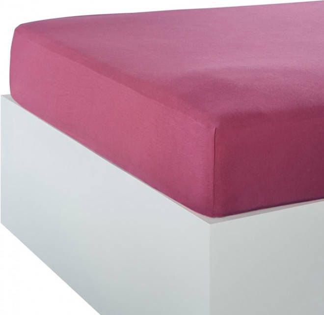 Webschatz Hoeslaken Fuchsia