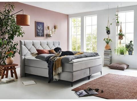 Home affaire Boxspring Aiko 100% veganistisch, met diervriendelijke bekleding, heel gemakkelijk in onderhoud