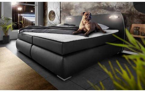 INOSIGN Boxspring Black & white